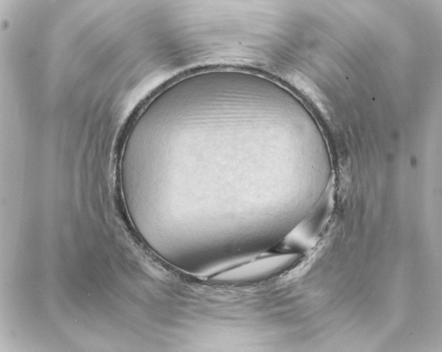 X0000088171077200706051110