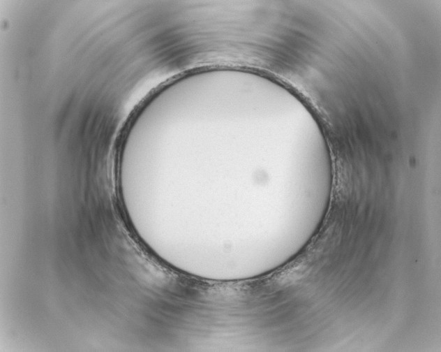 X0000088171078200706051110