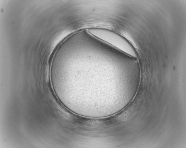 X0000088171079200706051110