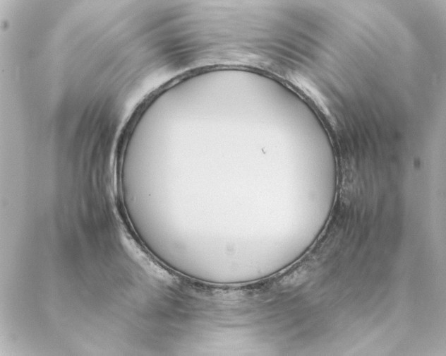 X0000088171080200706051110