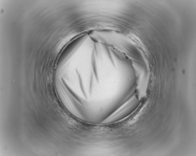 X0000088171081200706051110