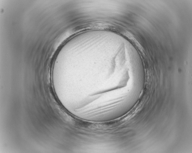 X0000088171083200706051110