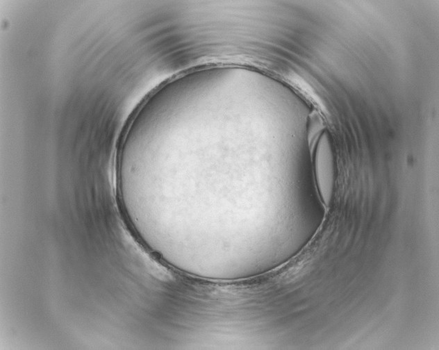 X0000088171084200706051110