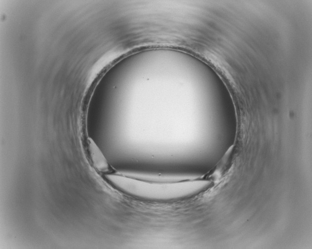 X0000088171085200706051110