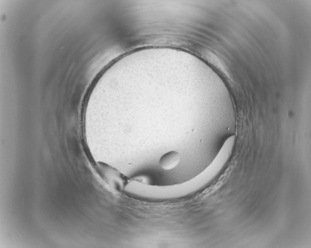 X0000088171087200706051110