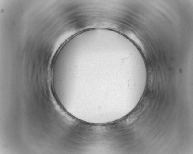 X0000088171088200706051110