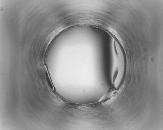 X0000088171089200706051110