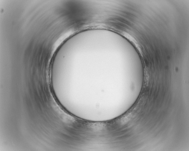 X0000088171090200706051110