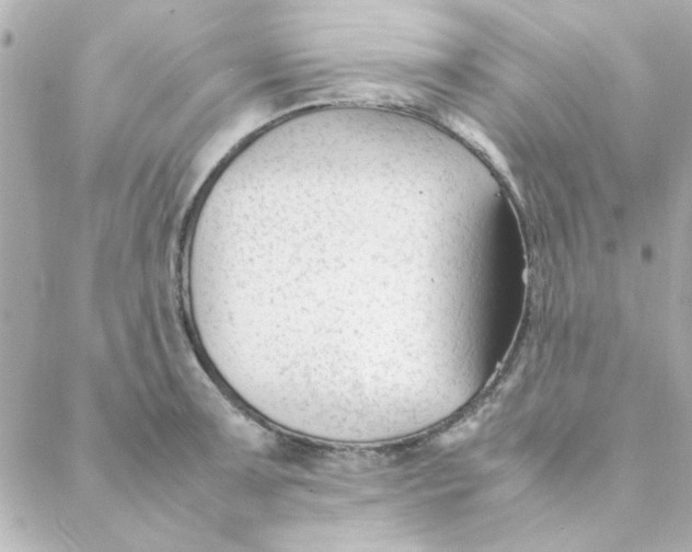 X0000088171091200706051110