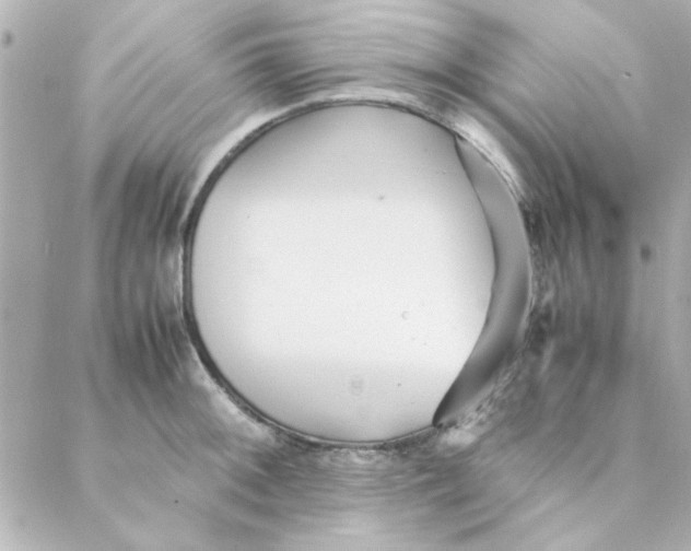 X0000088171092200706051110