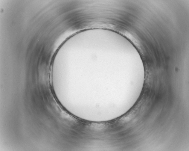 X0000088171094200706051110