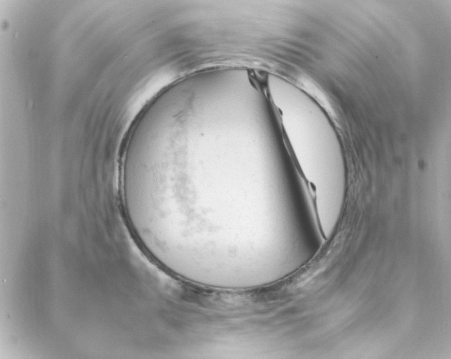 X0000088171095200706051110