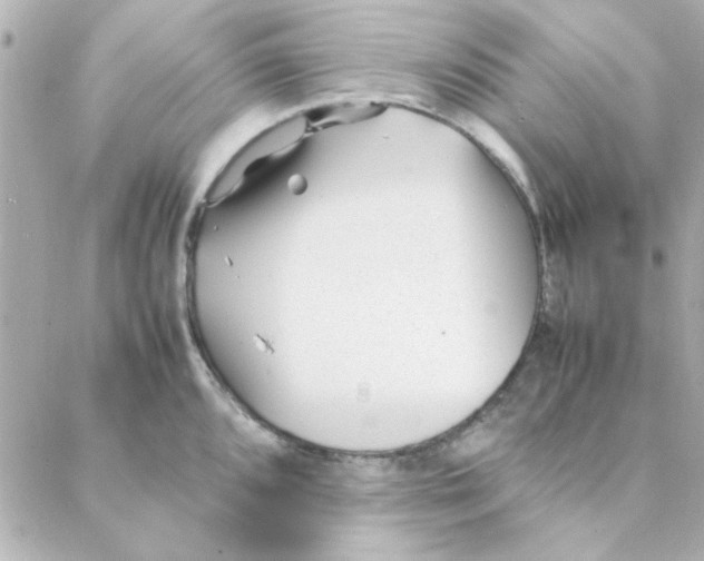 X0000088171096200706051110