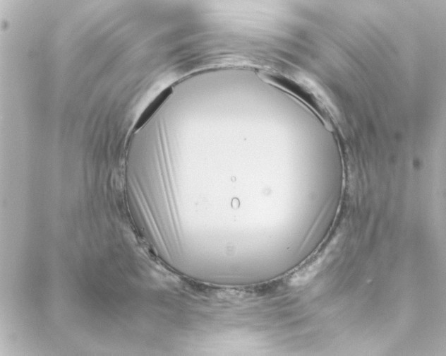 X0000088171097200706051110