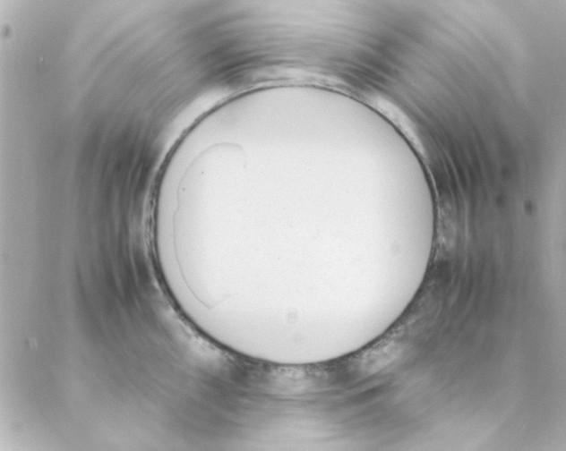 X0000088171098200706051110