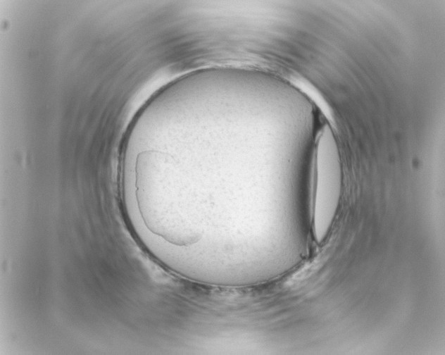 X0000088171099200706051110