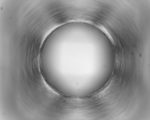 X0000088171100200706051110