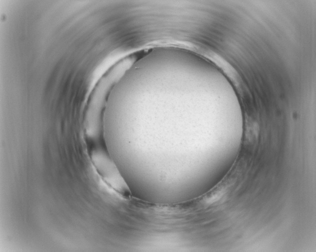 X0000088171102200706051110