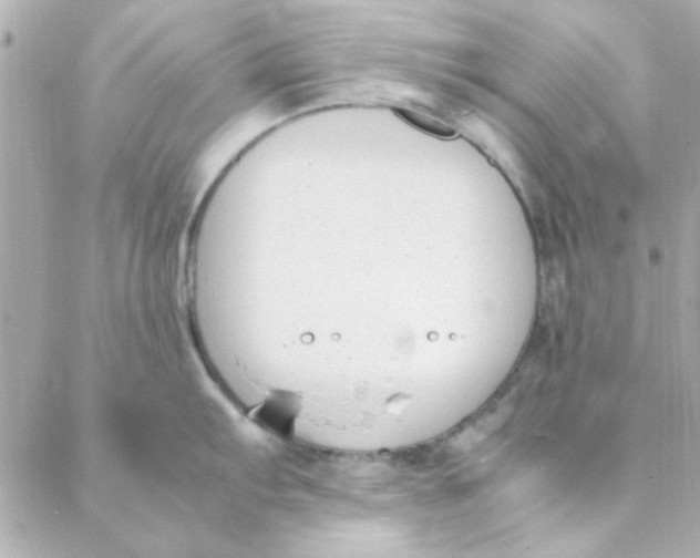 X0000088171103200706051110