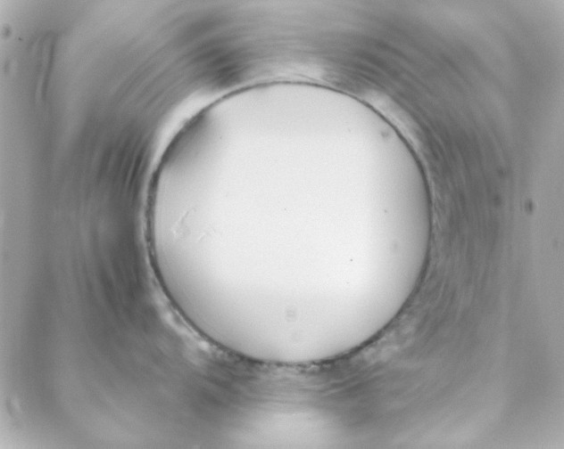 X0000088171104200706051110