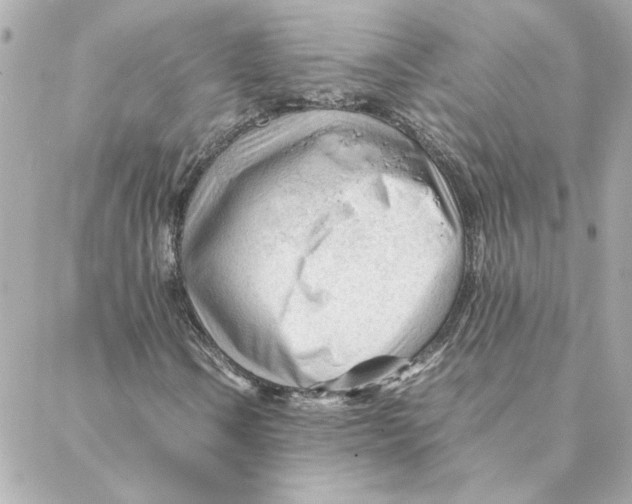 X0000088171106200706051109