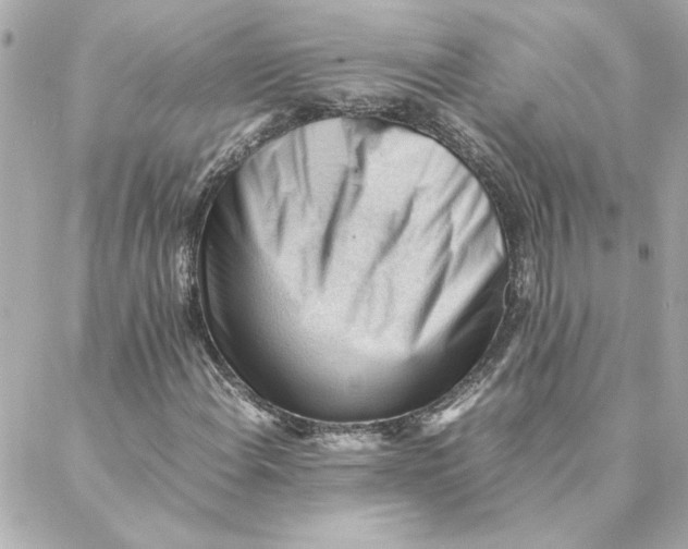 X0000088171108200706051109