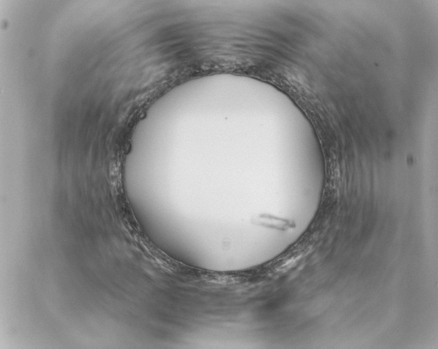 X0000088171109200706051109