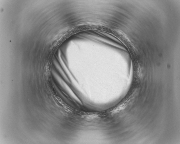 X0000088171110200706051109