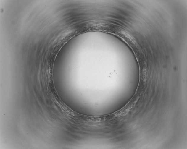 X0000088171111200706051109