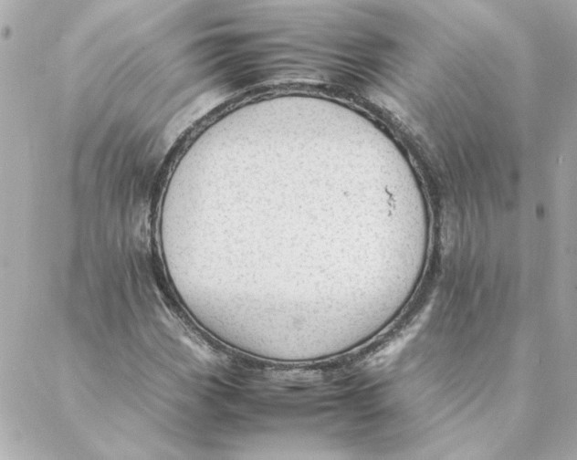 X0000088171113200706051109