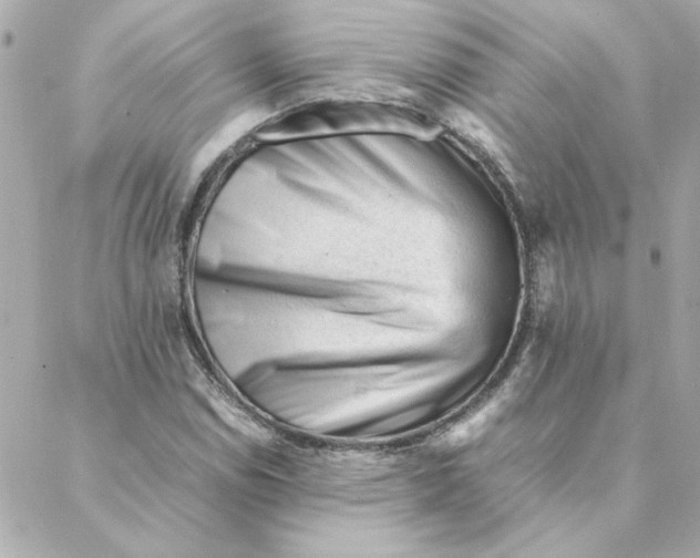 X0000088171114200706051109