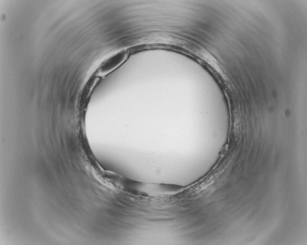 X0000088171116200706051109