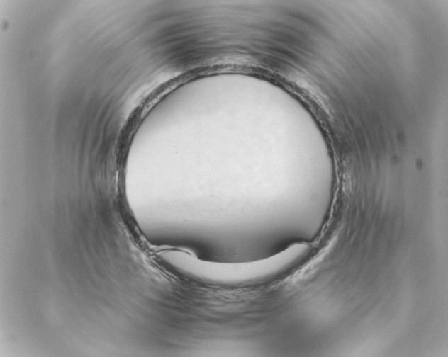 X0000088171117200706051109