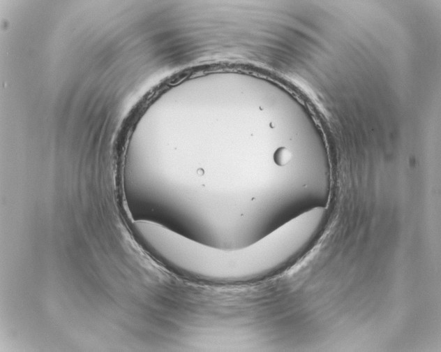 X0000088171118200706051109