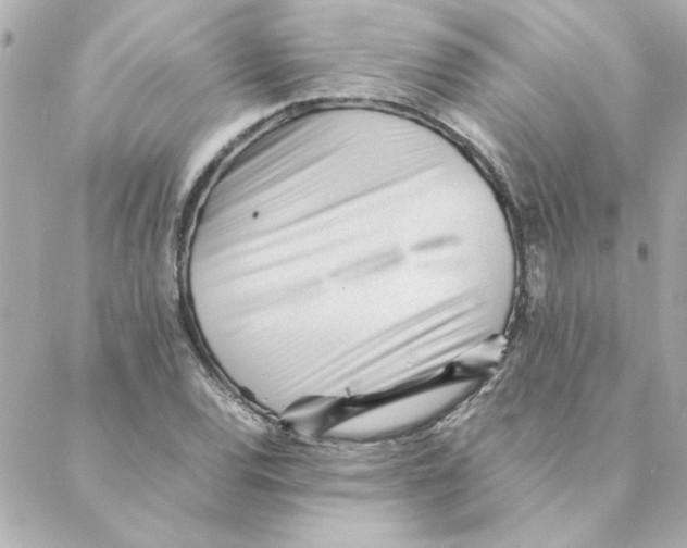 X0000088171120200706051109