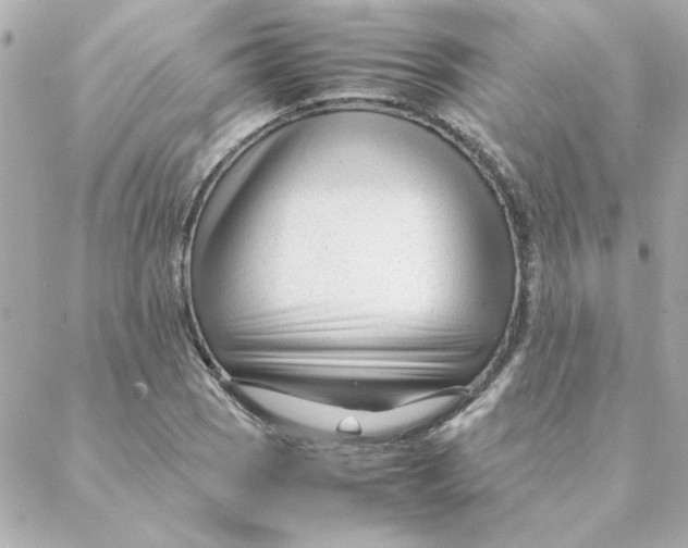 X0000088171121200706051109