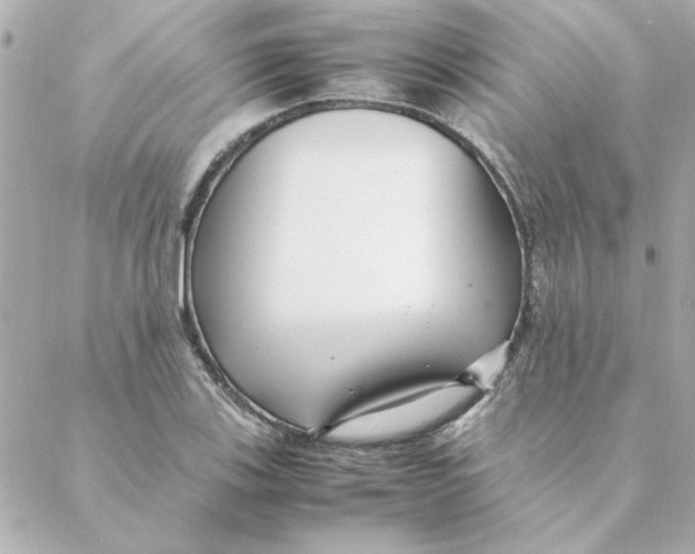 X0000088171123200706051110