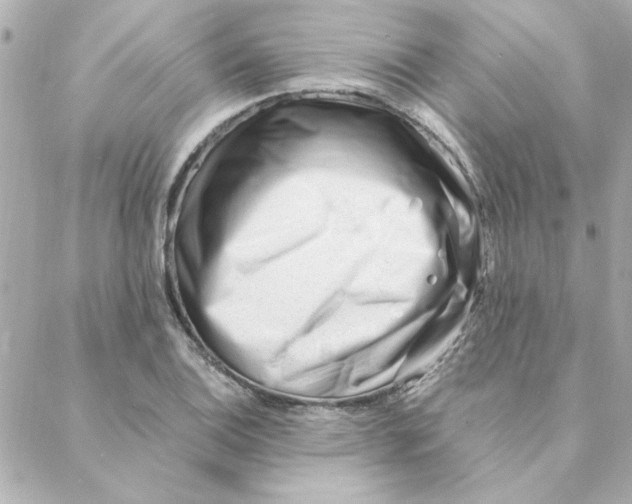 X0000088171124200706051110