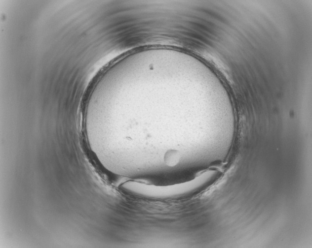 X0000088171125200706051110