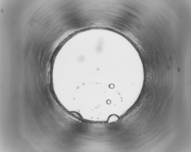 X0000088171126200706051110