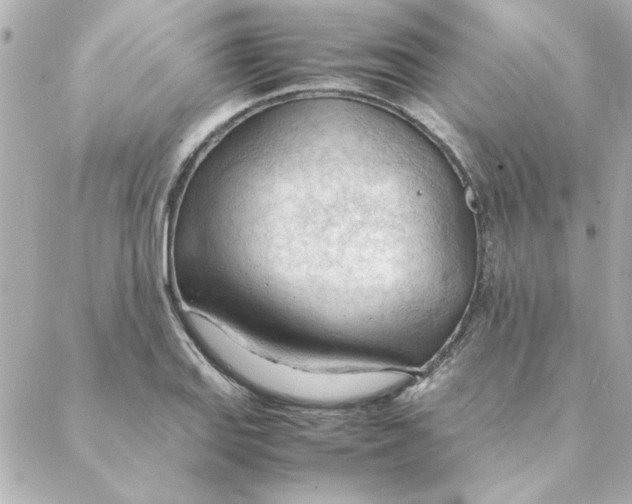 X0000088171127200706051110