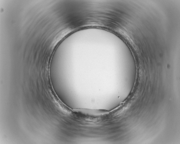 X0000088171129200706051110