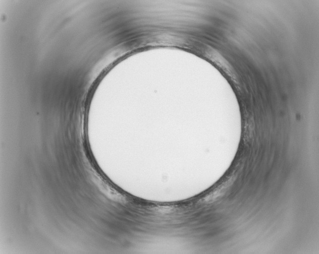 X0000088171130200706051110