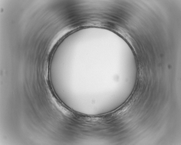 X0000088171131200706051110