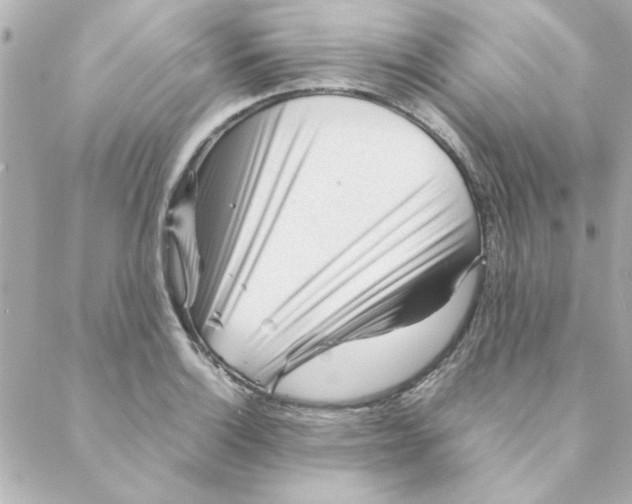 X0000088171132200706051110