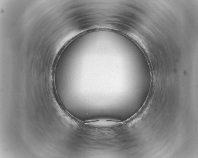 X0000088171133200706051110