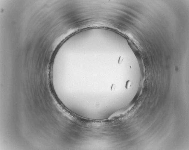 X0000088171134200706051110