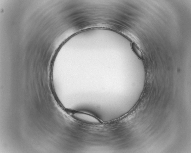 X0000088171135200706051110