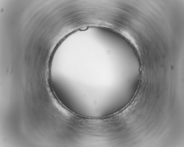 X0000088171136200706051110