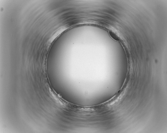 X0000088171137200706051110